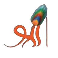The Shree Furnitures